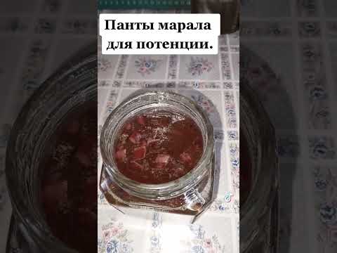 Панты марала для