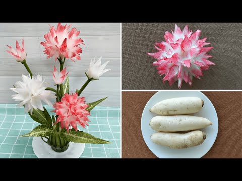 MY TRAN 77 Tỉa Hoa Từ Củ Cải Trắng - MY TRAN 77 Pruning Flowers From White Radishes