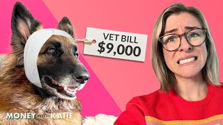 Is Pet Insurance A Scam?