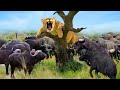 Trapped Lion! Poor Lion Is Surrounded And Brutally Trampled By Hundreds Of Ferocious Buffaloes