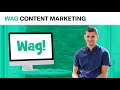 Wag's Ruff Content Strategy | Content Marketing Takedown