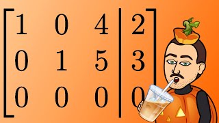 Augmented Matrix ➡️ Solution