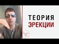 Алекс Лесли — Теория эрекции