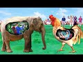 Best funny hindi stories collection amazing bedtime moral stories new hindi comedys collection