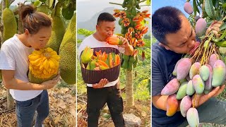 How to Chop Fruits on The Tree | Amazing Fruits Cutting Skills