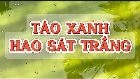 Cách ương ếch giống | Nòng nọc bị hao xác trắng, tảo xanh sớm