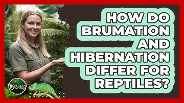 How Do Brumation And Hibernation Differ For Reptiles?