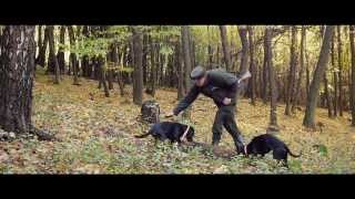 Tracker - hunters' first choice trailer for the most advanced (dog) tracking system
