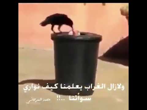 اوبه تشوف المقطع وماتخش لانك راح تفقد اهم شي في حياتك