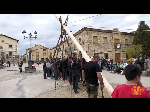 Pingada del Mayo - Mamolar 2024