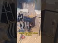 Reveal Floor Repair DIY FLOOR FIX Unexpected Home Renovation!