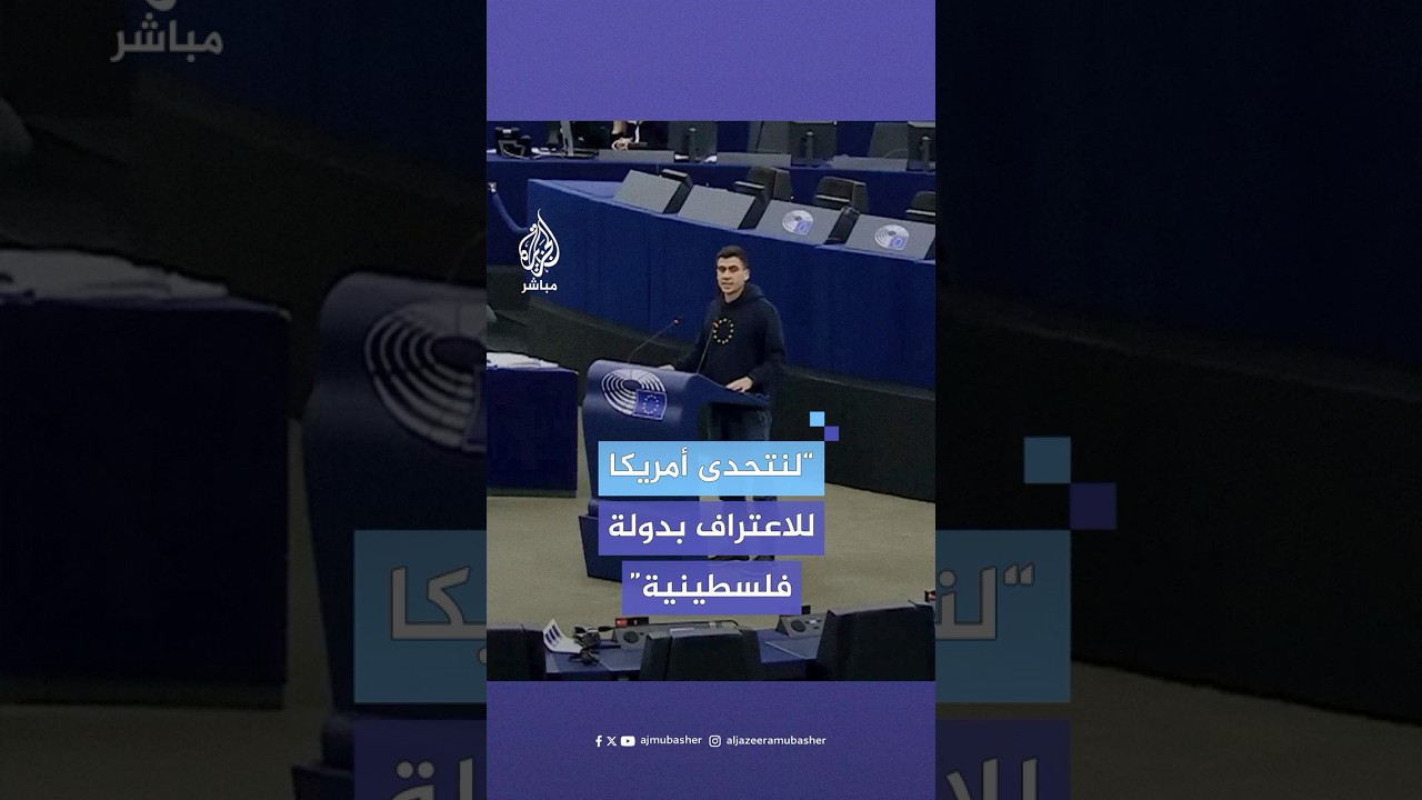 نائب قبرصي في البرلمان الأوروبي: يجب أن نتحدى الولايات المتحدة في سبيل الاعتراف بدولة فلسطينية