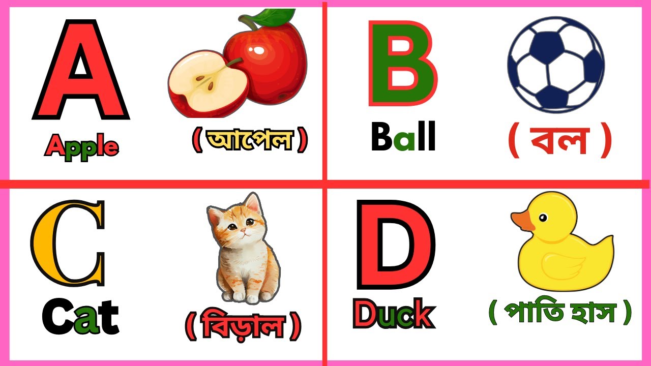 Learn Alphabet A To Z ।। English Alphabet with Live Example ।। ABCD ...