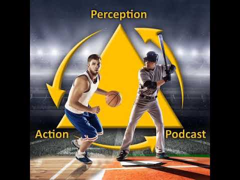 152 - Learning New Movement Patterns: Specificity vs Variability