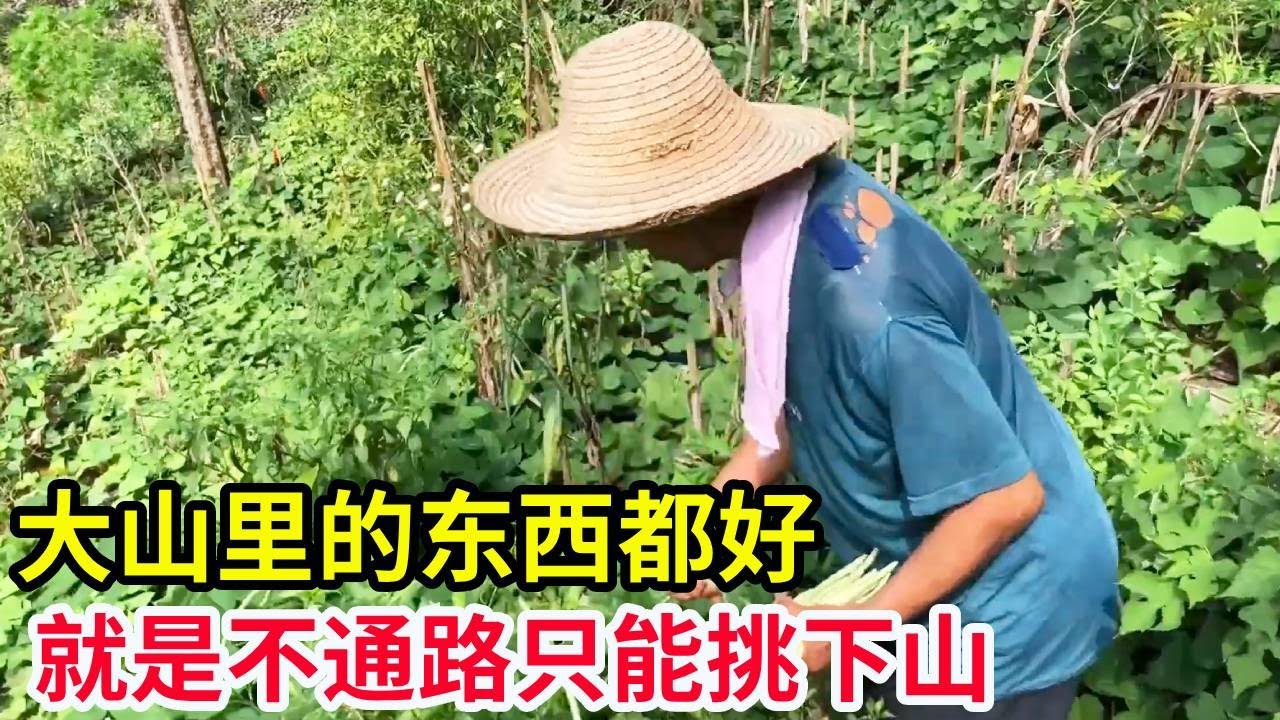 大山里的东西都好,就是不通路只能挑下山,真的是太不容易了!【山农乐哥】