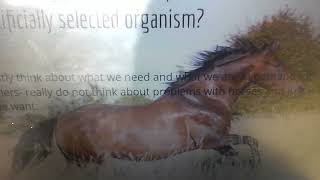 A Serious Video About Horses' Genetic Diversity. (reupload)
