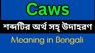 Caws Meaning In Bengali /Caws mane ki