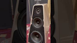 Wilson Audio VTL NordOst ❤️🔥 Audiophile HiEnd Stereo System ⚙️🔊 #audiophile #hifi #hiend #highend