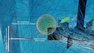XDLVO illustrative animation: Ellipsoidal particle interacting with a bubble in an agitated tank.