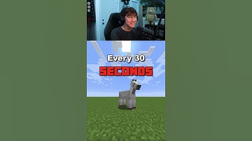 Minecraft, But I Change To a Random Mob Every 30 Seconds
