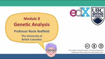 Module 8 Overview