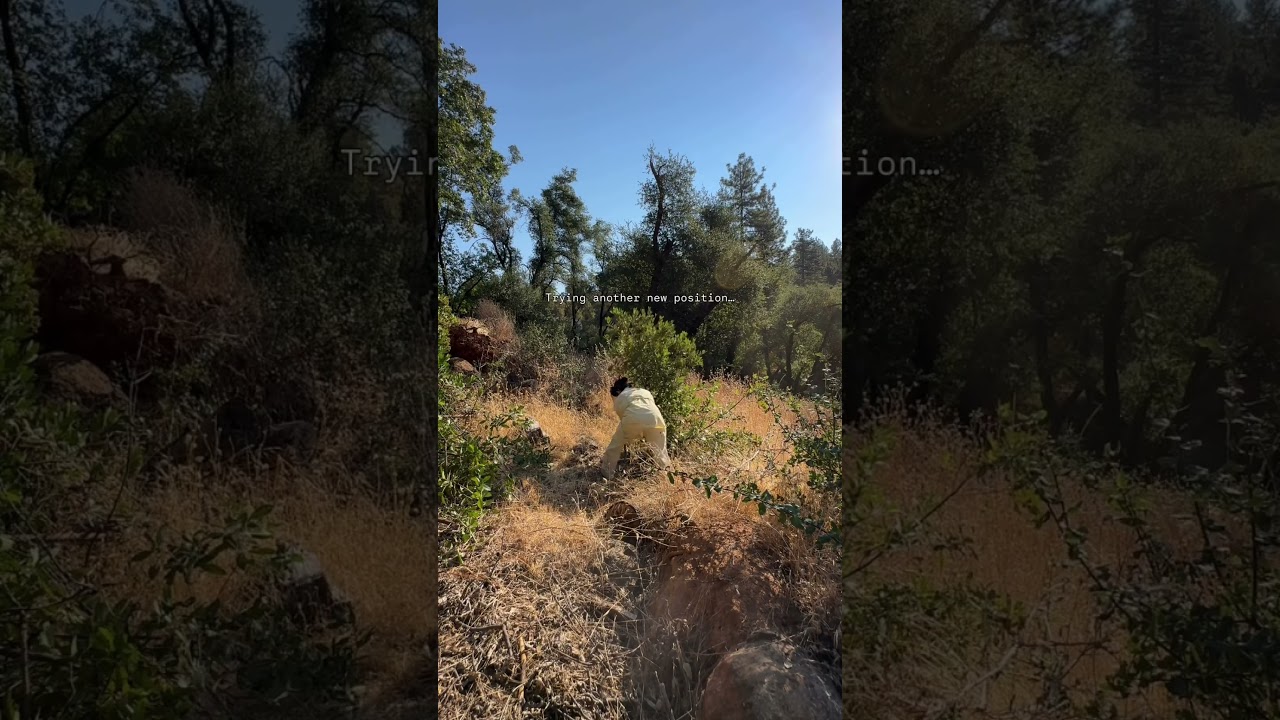 Episode 1 of a fun little short-form series where we share all the drama/tea on our new homestead!