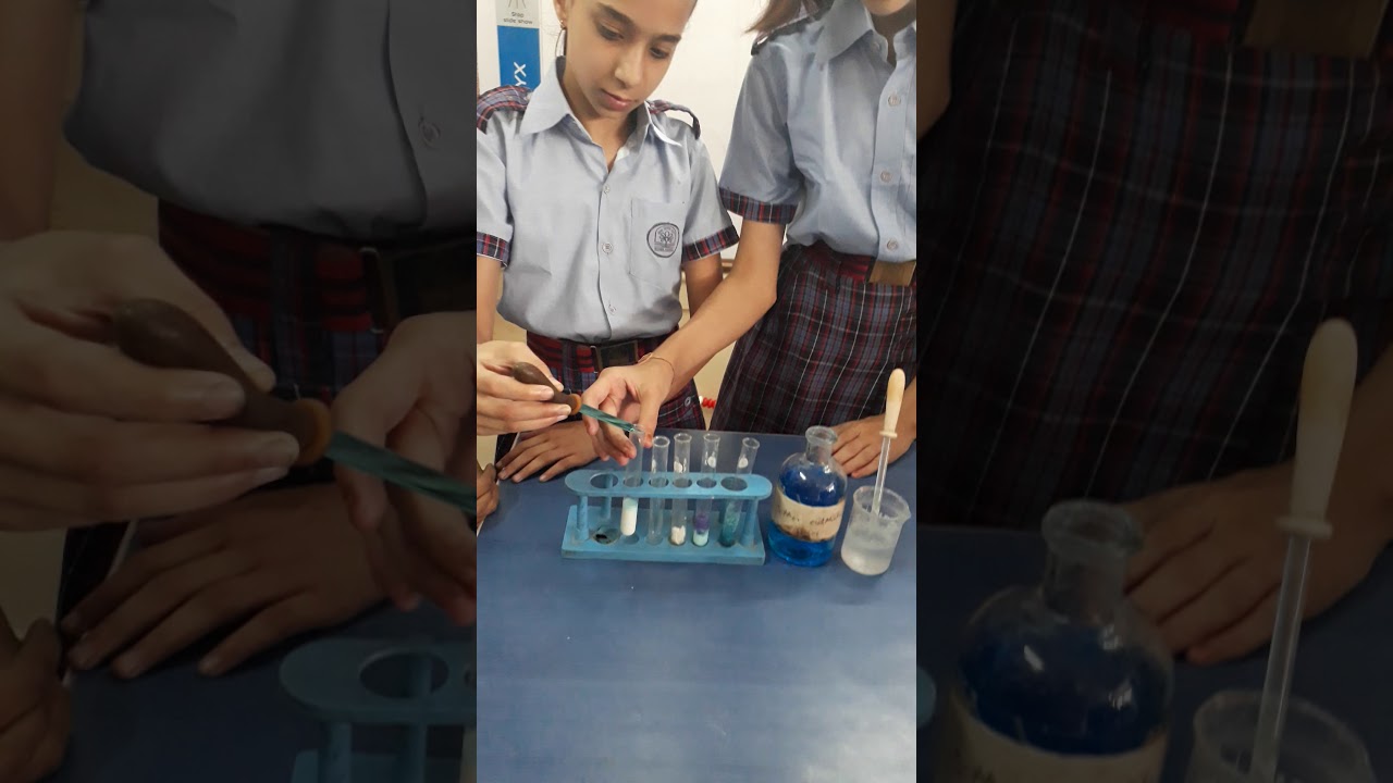 Test for proteins using copper sulphate and sodium hydroxide sol. First