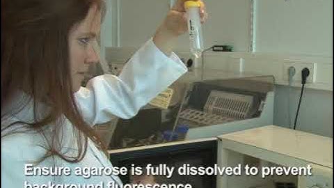 Automated time-lapse microscopy enables live cell imaging of Bacillus subtilis and Streptococcus