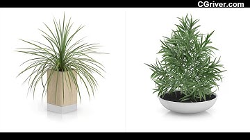 CGAxis 3D Model Vol. 50 - Photo-Realistic 3D Plants, Trees, and Vegetation - CGriver.com
