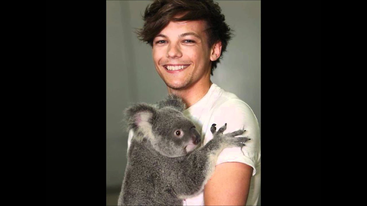 one direction in brisbane..with KOALAS!! - YouTube