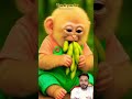аЄ аЄѕаЄџа Ђ аЄ аЄ аЄІа Ђ 🥠🥠Monkey Funny Youtubeshorts аЄ аЄѕаЄџа Ђ аЄ аЄ аЄІа Ђ 🥠🥠Monkey Funny Youtubeshorts