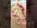 This Moving Handful Isn’t What You Think