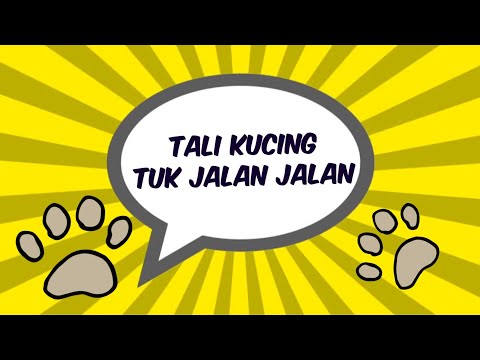 CARA MENGONTROL KUCING DENGAN TALI