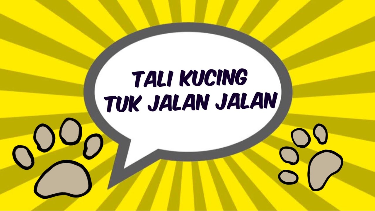 Cara Mengontrol Kucing Dengan Tali Youtube