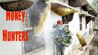 Harvesting Honey - Bee Master in Taiwan Ep- 6 By Sarvaivel Rad