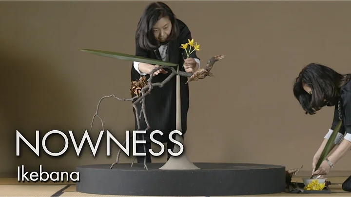 "Ikebana" by Matthew Donaldson