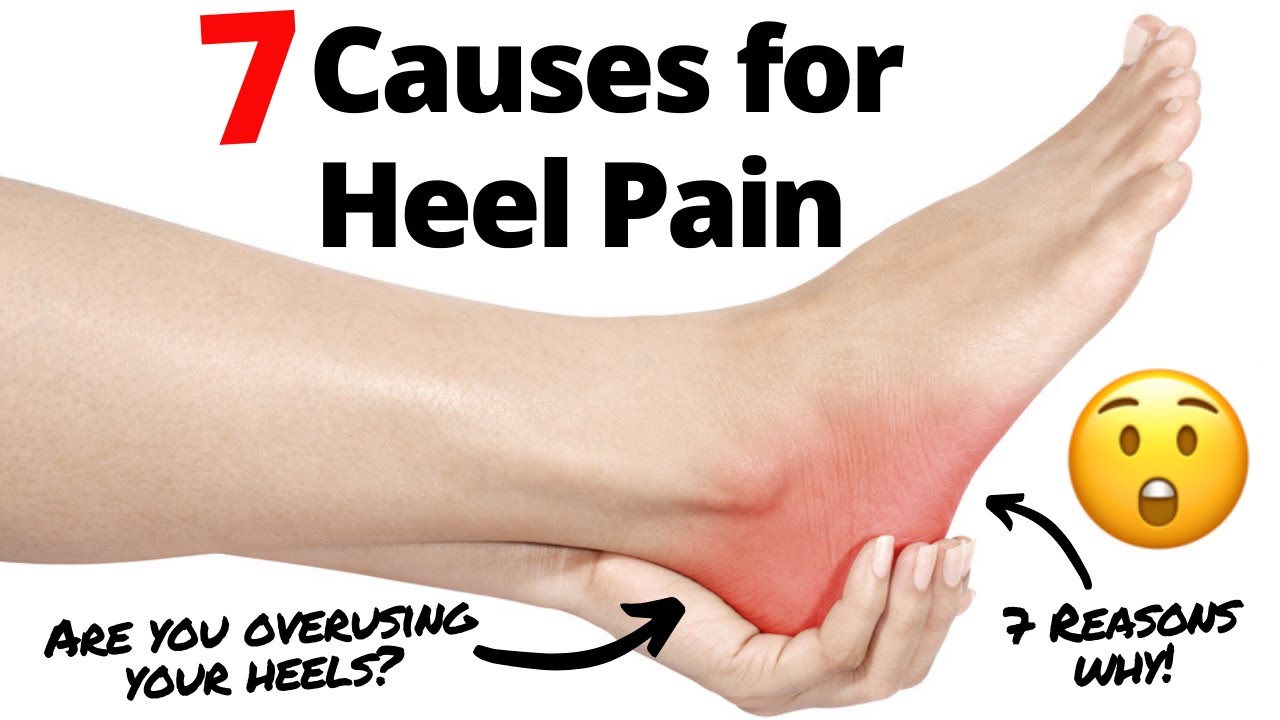 What are the 7 causes of Back of the Heel Pain? - YouTube