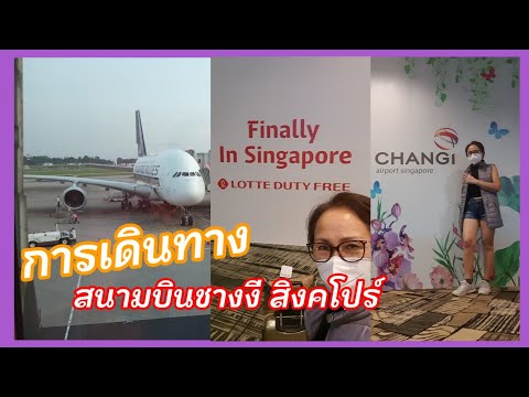 สนามบินชางงี สิงคโปร์ Changi Singapore