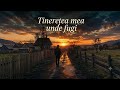Manele Din Viitor-Tinerețea mea Unde Fugi | By DumiX Music | Manele Balkan 2026