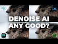New Lightroom Denoise AI - Is It Any Good?