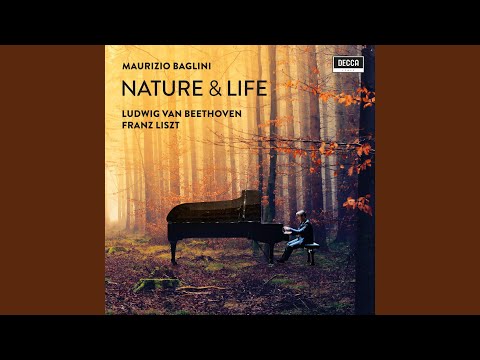 Ver Beethoven: 6 Variations in D Major, Op. 76 - Var. 6 (Presto) no YouTube