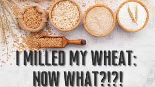 Common Freshly Milled FLOUR Questions Answered | What do I do with Freshly Milled Flour?