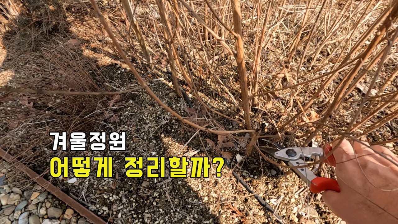 봄을 준비하는 겨울정원 정리 방법_정원사의널서