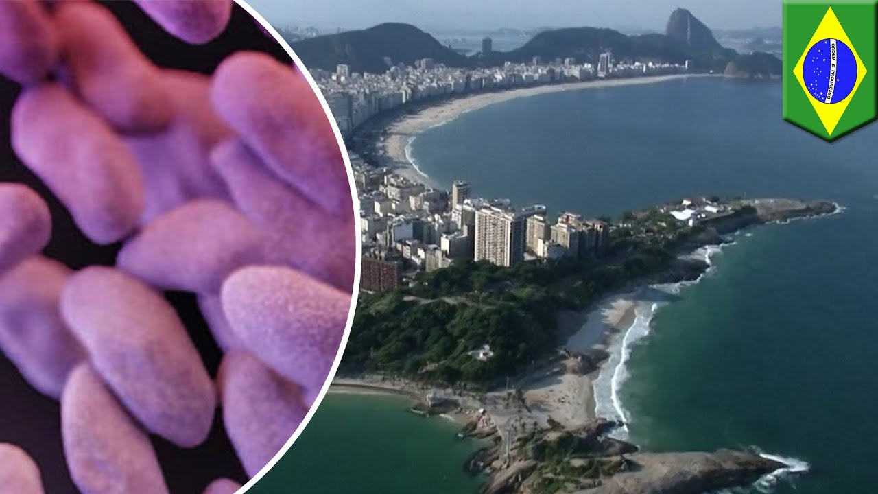 ‘Super bacteria’ found in waters of Rio de Janeiro, Brazil as Olympics