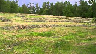 Putting up brome hay - 2010