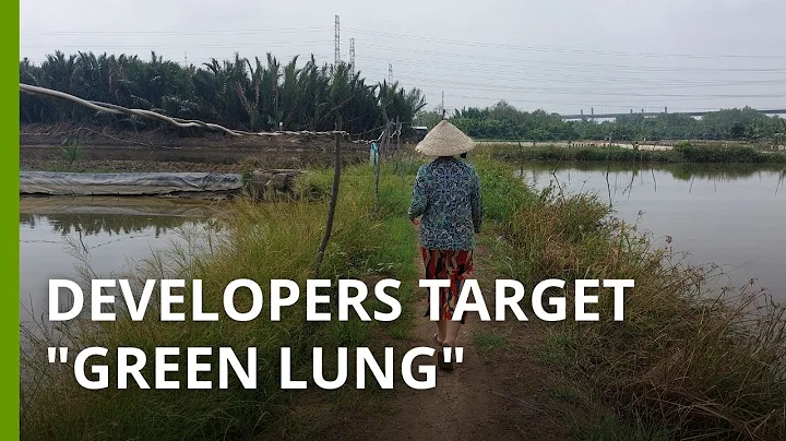 Mangrove forests of Cn Gi under threat: developmen...