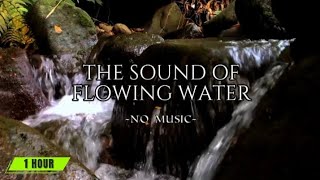 🎧 ASMR The Sound of Flowing Water - asmr water sound - No Music