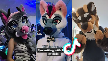 Furry TikTok's To Watch Before July