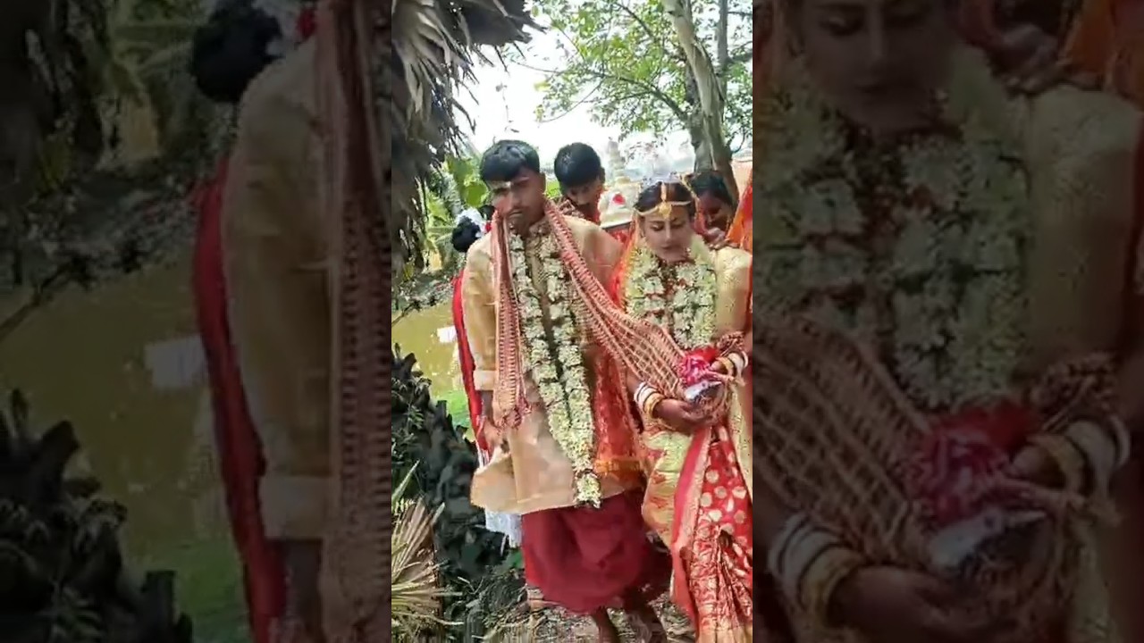 #Song#love#music#lovesong #newsong #shortvideo #bollywood #dancevideo #bus #hiphop