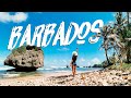 Cómo es BARBADOS | La ISLA DEL CARIBE donde nació RIHANNA